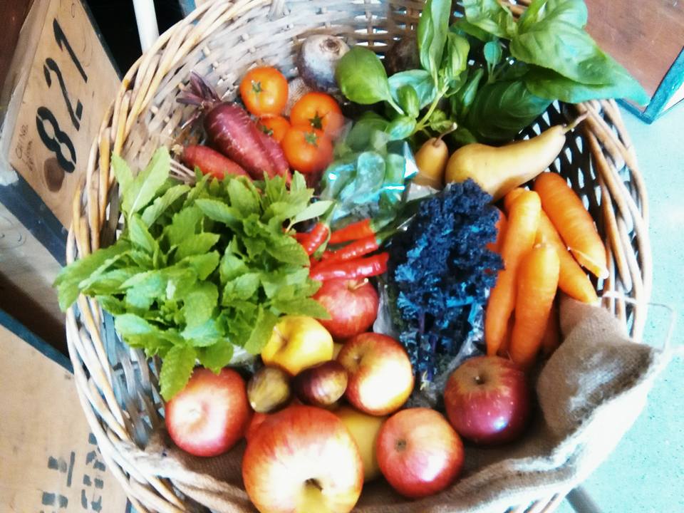 EARTHY EATS » Heads Up Launceston & Food Guide Launceston